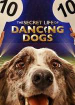 Watch The Secret Life of Dancing Dogs M4uhd