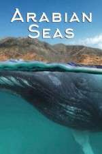 Watch Arabian Seas M4uhd