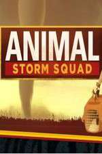 Watch Animal Storm Squad M4uhd