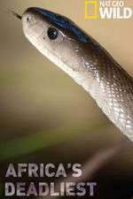 Watch Africas Deadliest M4uhd