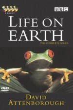 Watch Life on Earth M4uhd