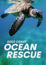 Watch Gold Coast Ocean Rescue M4uhd