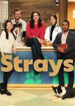 Watch Strays M4uhd