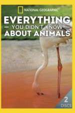 Watch Everything You Didnt Know About Animals M4uhd