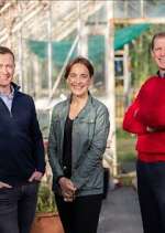 Watch Ear to the Ground M4uhd