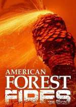 Watch American Forest Fires: The Untold Story M4uhd