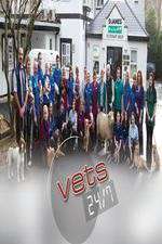 Watch Vets 24/7 M4uhd