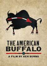 Watch The American Buffalo M4uhd