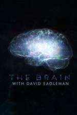 Watch The Brain with Dr David Eagleman M4uhd