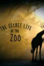 Watch The Secret Life of the Zoo M4uhd