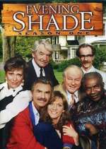 Watch Evening Shade M4uhd