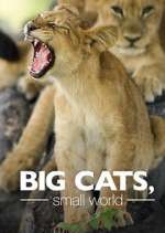 Watch Big Cats, Small World M4uhd